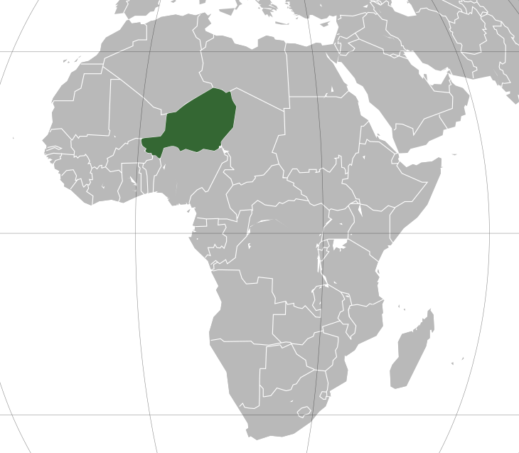 Tensions accrues : des troupes russes entrent dans une base au Niger hébergeant des forces...