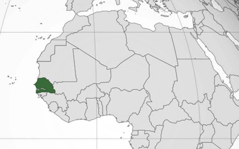 Sénégal : Une croissance économique projetée à plus de 10% en 2025, selon le FMI