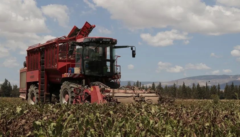 Tunisie – L’Usine de sucre de Jendouba : Un plan de sauvetage pour assurer la...