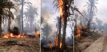 Tunisie – Gabès : Ils sont en train de brûler les oasis pour y planter du...