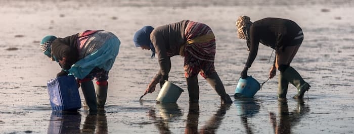 En Tunisie, seulement 50 % de la population bénéficie d’une couverture sociale