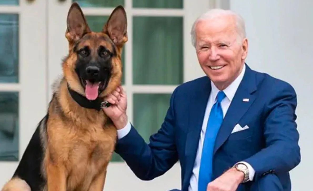 USA – Chien de Joe Biden : Commander mord au moins 24 fois le personnel...