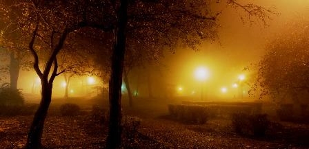 Tunisie – METEO : Passages nuageux et brouillard en fin de nuit