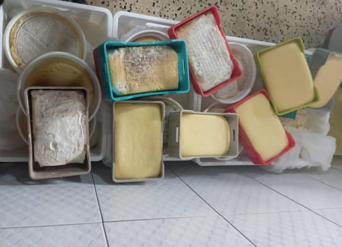 Bizerte: Du roquefort et camembert découverts dans une fromagerie anarchique (Photos)