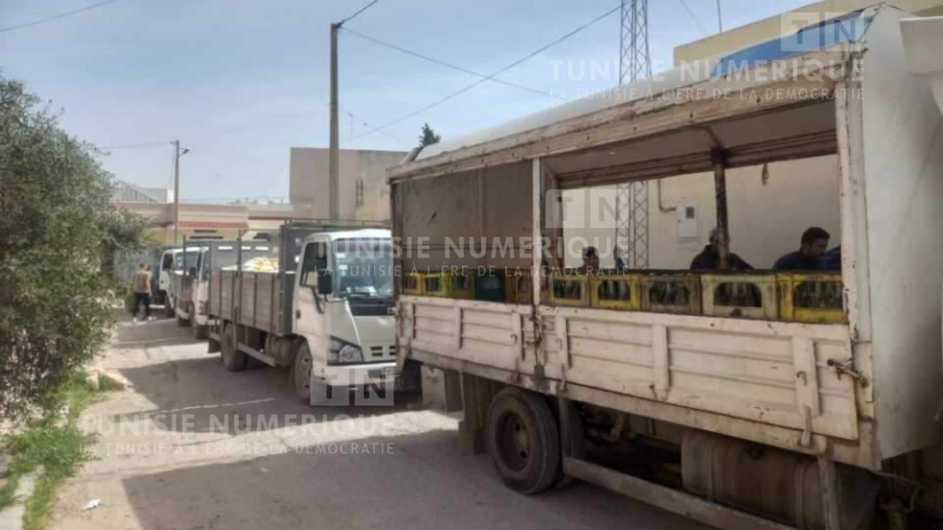 Béja: Distribution d’une quantité de produits alimentaires à l’occasion du mois sacré [Photos]