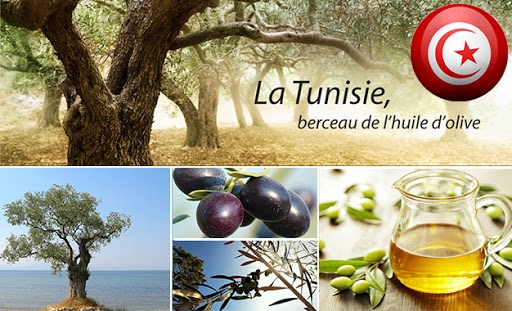 Le malheur des consommateurs fait le bonheur des exportateurs : L’huile d’olive rapporte 2,3 milliards de...