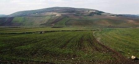 Tunisie : Le Kef : L’Etat récupère  hectares de terres domaniales