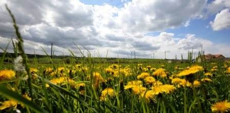 Météo de ce début de semaine