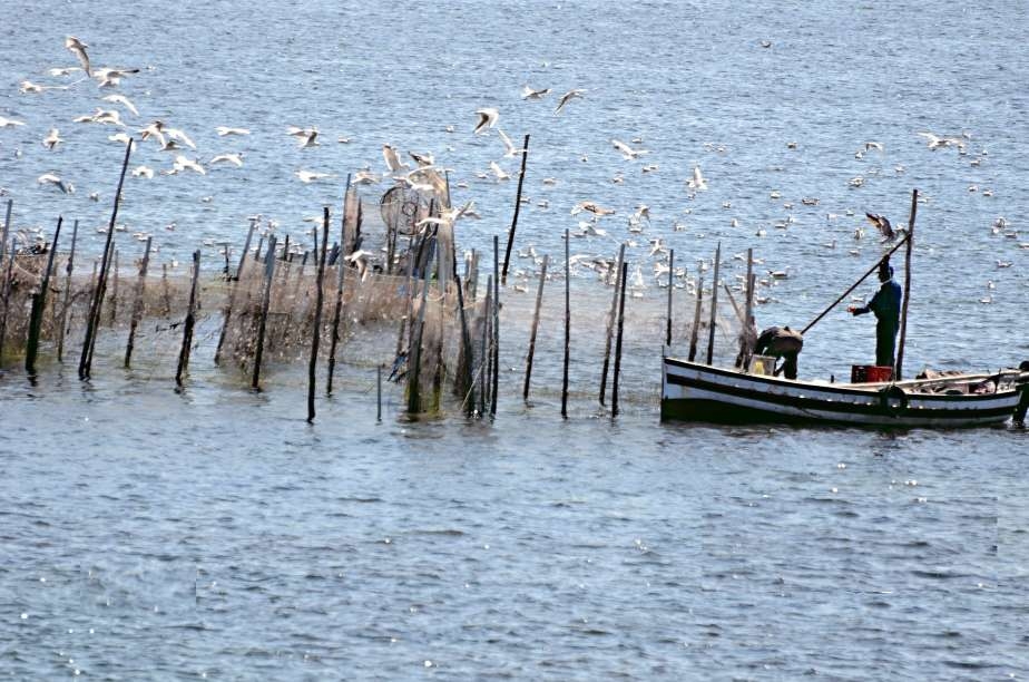 L’économie bleue : une opportunité pour la Tunisie