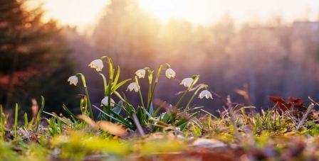 Nous venons de vivre le mois de mars le plus chaud de tous les temps