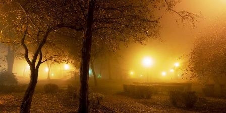 Tunisie – METEO : Brouillard en fin de nuit