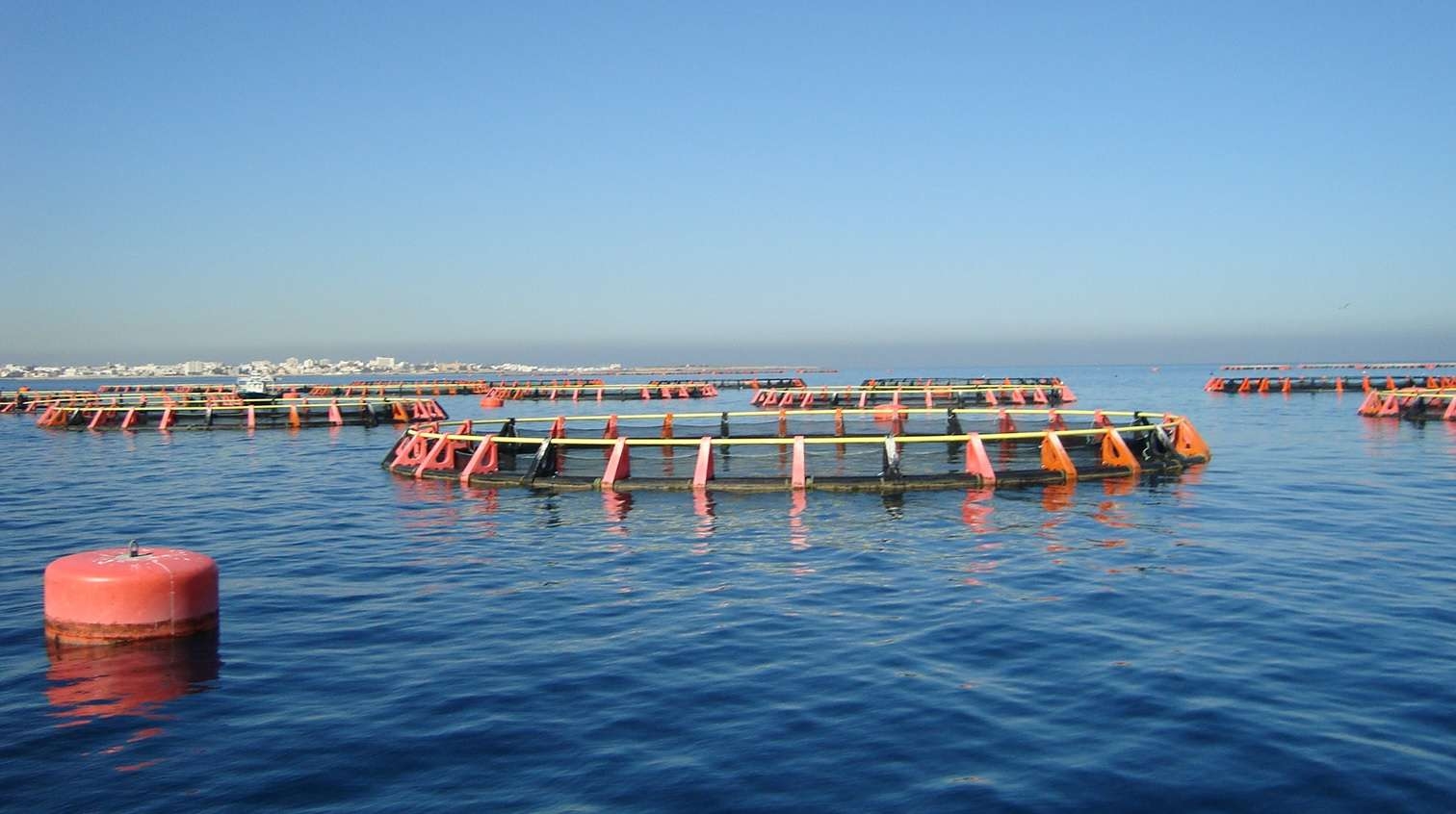 L’Aquaculture en Tunisie : Une industrie en pleine croissance