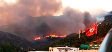 Tunisie – Kasserine : On se prépare à la saison des incendies et feux de forêt