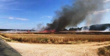 Tunisie – Ça commence, on dirait : Siliana : Un incendie dévaste trois hectares de...