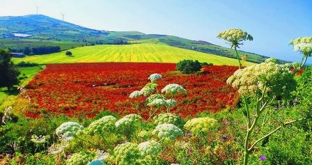 Tunisie – Météo estivale ce dimanche