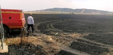 Tunisie – Siliana : Un incendie détruit 23 hectares de blé à Al Krib