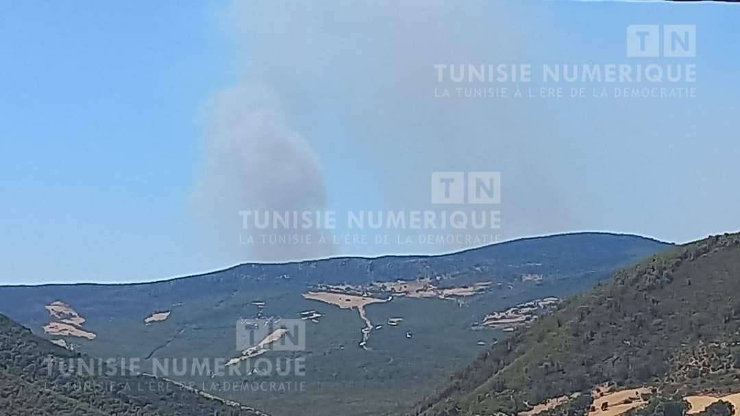 Béja: Deux incendies se déclarent à Nefza, les pompiers mobilisés pour contenir le feu [Photos]