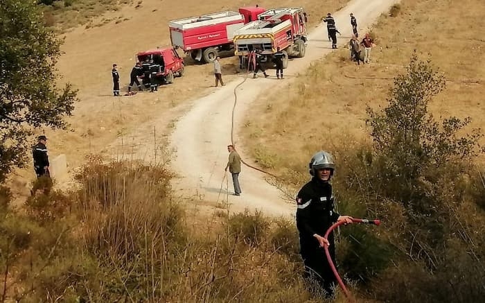 Protection civile: 12 décès et 434 blessés durant les dernières 24 heures