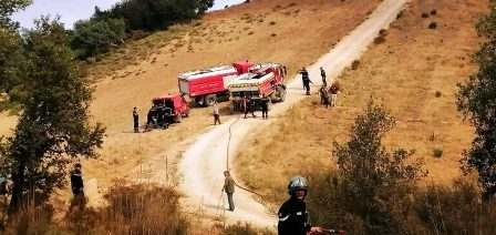 Tunisie – Des pompiers tunisiens interviennent sur le sol algérien pour lutter contre un feu...