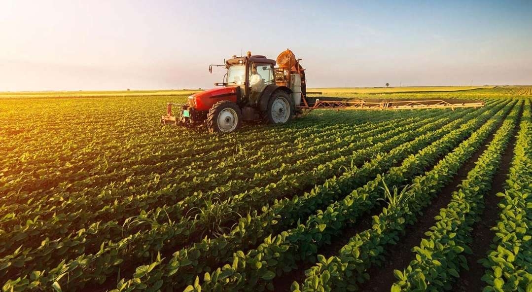 Analyse du tableau de bord de l’agriculture tunisienne au 1er semestre 2024