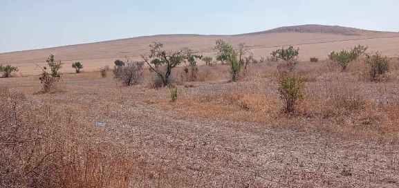 Récupération d’un terrain domanial agricole à Manouba sur une superficie de 65 hectares