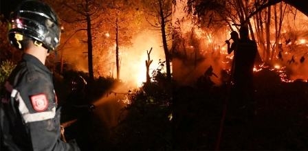 Tunisie – Beni Mtir : Un incendie de forêt menace des habitation et un générateur d’électricité