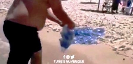 Tunisie – La méduse s’invite en trouble fête sur les plages