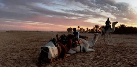 Tunisie – METEO : Ciel localement couvert sur le sud ouest