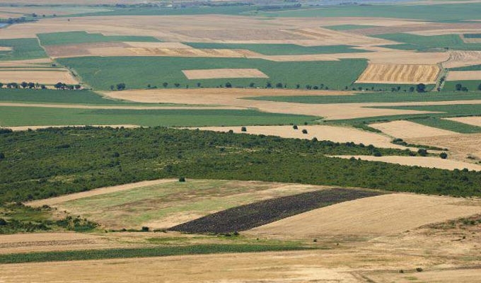 Les autorités ont encore sévi, 11 hectares récupérés à la Manouba