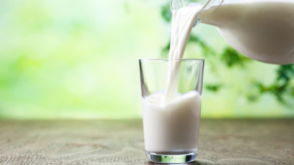 Le Lait en Tunisie : Un produit de première nécessité en mutation