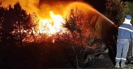 Tunisie – Un incendie au Djebel Bargou maîtrisé