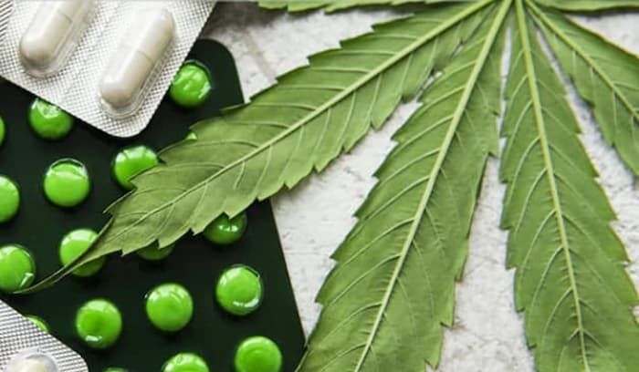 Maroc: Inauguration de la première usine de transformation de cannabis légal