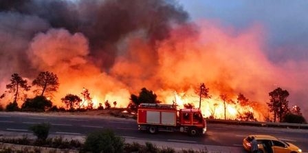 Tunisie – Bizerte : Un incendie ravage cinq hectares de forêt