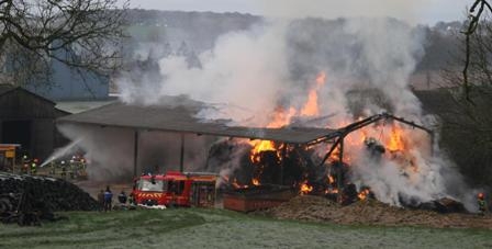 Tunisie – Haouaria : Un incendie ravage une ferme et tue des têtes de bétail