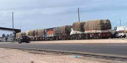 Tunisie – Ras Jedir : Reprise du trafic commercial à partir de ce samedi