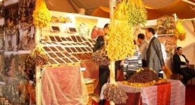 Tunisie – Vers la mise en place de points de vente de dattes du producteur...