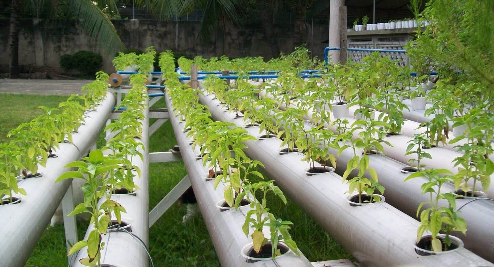 L’investissement agricole en Tunisie poursuit son ascension