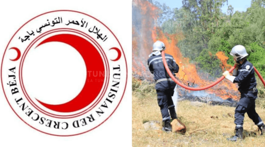 Béja: Le Croissant-Rouge tunisien émet des recommandations pour prévenir les incendies cet été