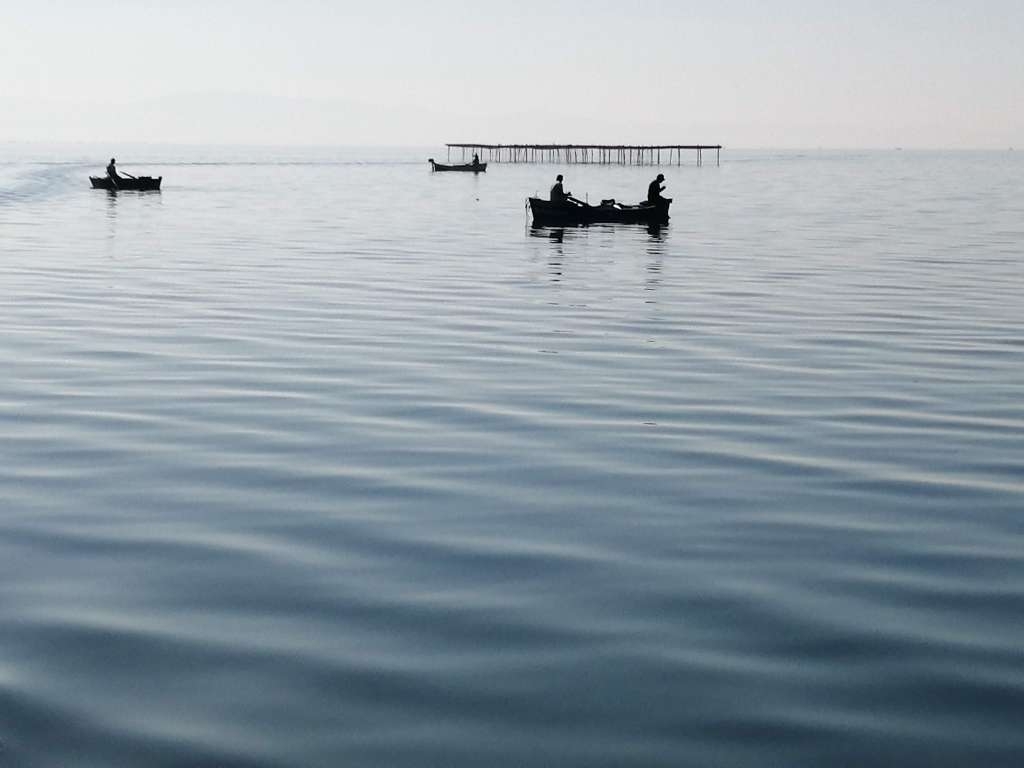 La Tunisie met en valeur le secteur de l’aquaculture et de la pêche à l’international