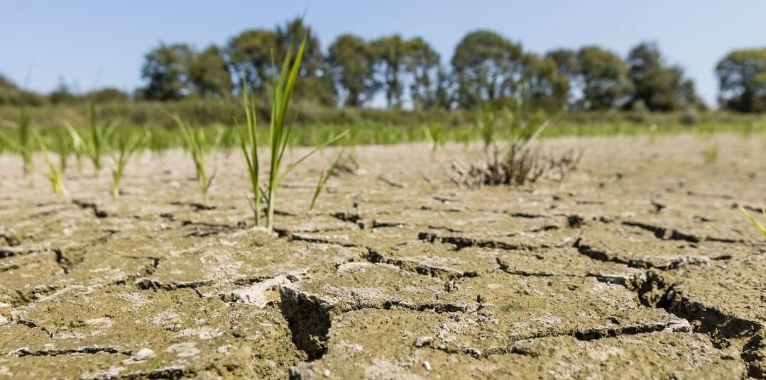 La dette climatique des pays riches envers l’Afrique estimée à 36 000 milliards de dollars...
