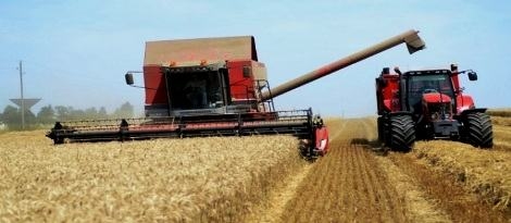 Tunisie – Agriculture : Programme spécial pour assurer une saison de moissons réussie