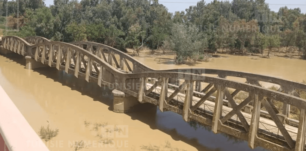 Béja: Amélioration du niveau des eaux dans les barrages après plusieurs années de sécheresse