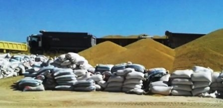 Tunisie – Fixation des prix d’acceptation des céréales par l’office