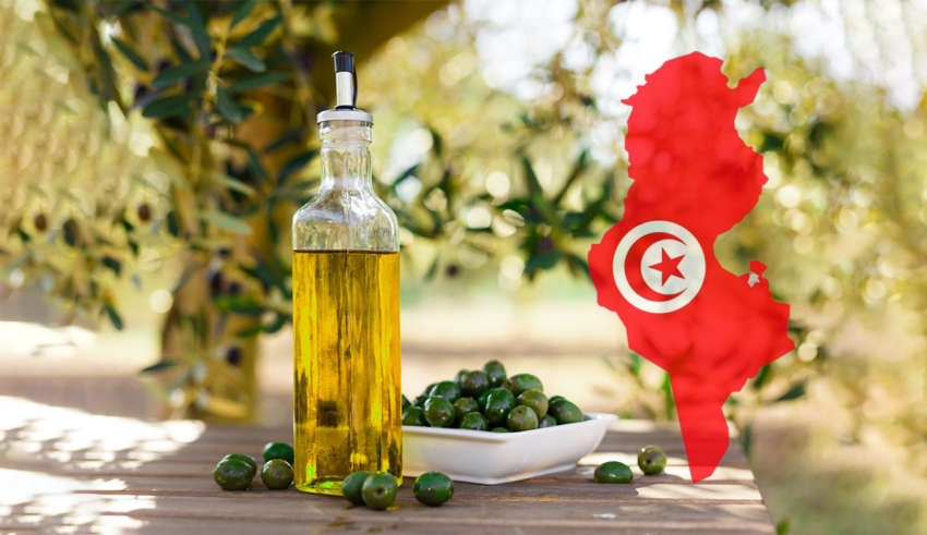 Huile d’olive tunisienne : la Chambre d’agriculture de France déballe le micmac de l’Italie et...