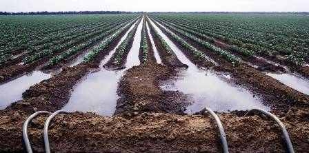 Tunisie – Projet avec la BM pour l’irrigation de 20 mille hectares avec les eaux...