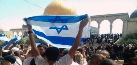 Des colons juifs investissent Al Aqsa et insultent les arabes les musulmans et leur prophète