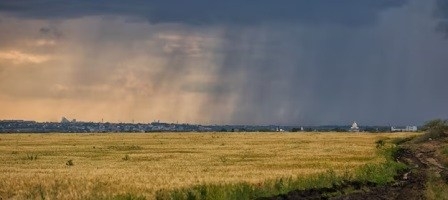 Tunisie – METEO : Des pluies attendues pour la mi-mai