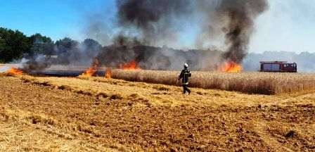 Tunisie – Siliana : Elaboration d’un plan pour protéger les champs et les forêts des incendies...