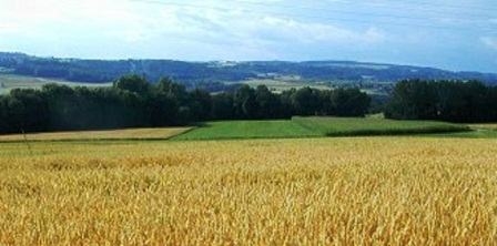 Tunisie – Projet de loi permettant la session de terres domaniales agricoles au profit des...