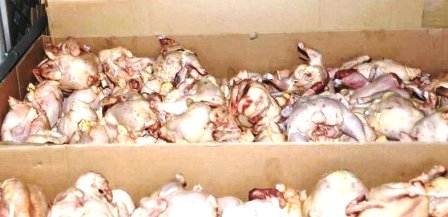 Tunisie – Sousse : Saisie de près d’une tonne de viande de volaille impropre à la...